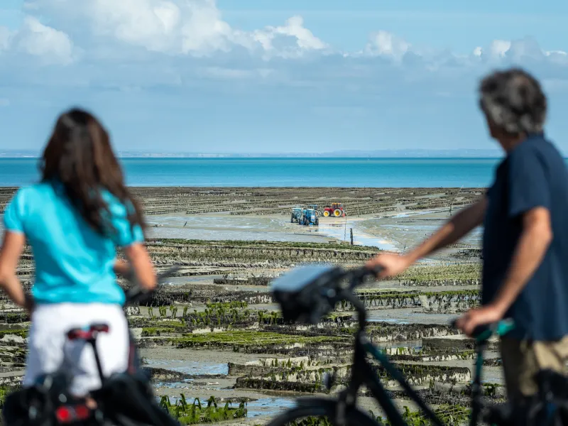 cancale parcs à huitres