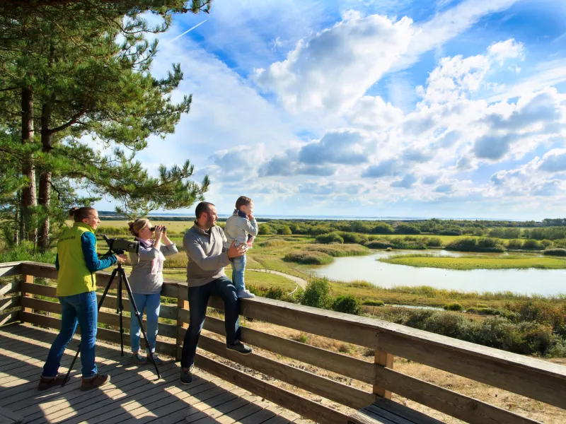 Entre terre et mer au Parc du Marquenterre