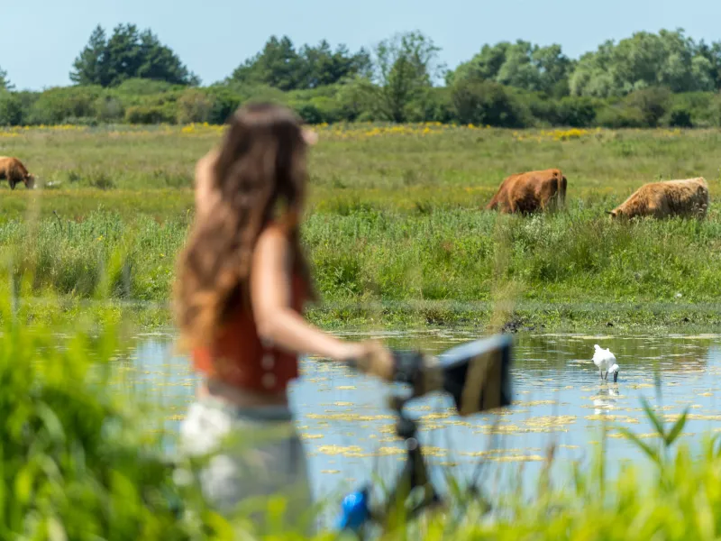Le Crotoy ©E. Berthier