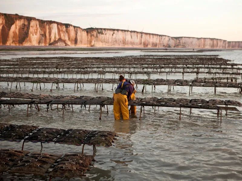 Parc à huître à Veules-les-Roses