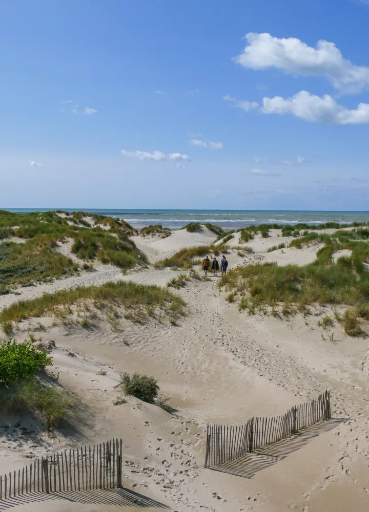 Baie de canche
