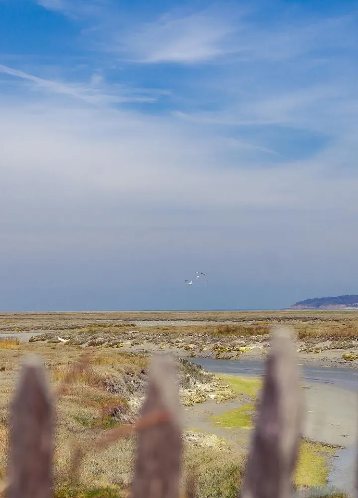 Baie de Saint-Brieuc