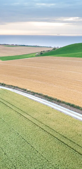 Uitzicht op de Baai van Wissant
