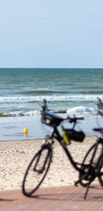 Piste cyclable au pied des plages à Bray-Dunes
