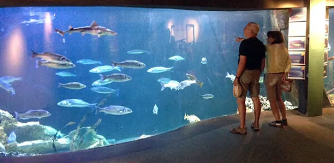 MARÉIS : Centre de découverte de la pêche en mer