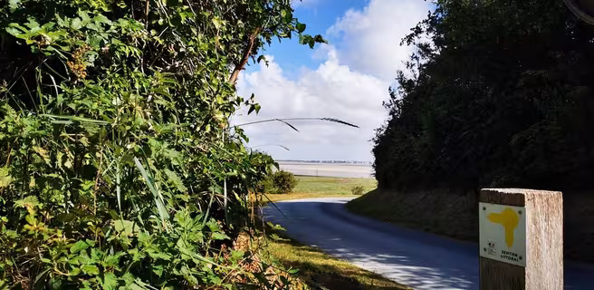 Location de vélo - Cap Hornu
