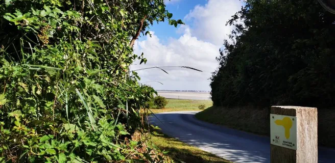 Location de vélo - Cap Hornu