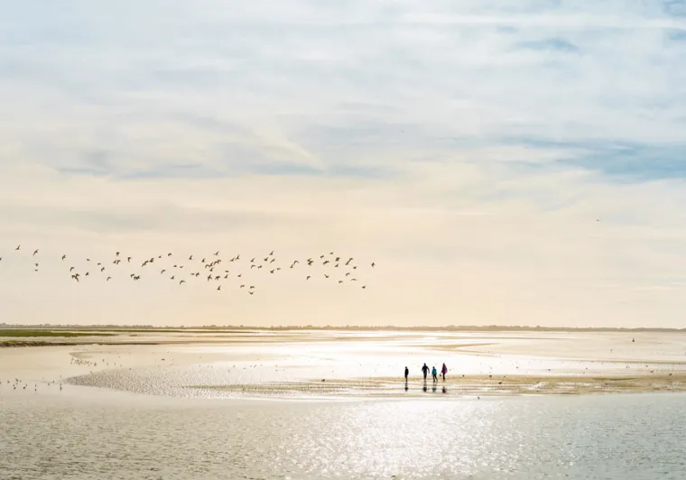 Baie de Somme ©B. Bremer